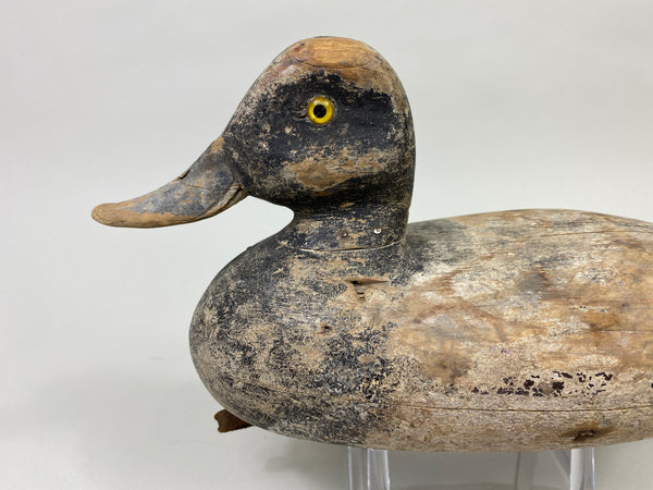 Bert Stranz Bluebill Drake (#9325)