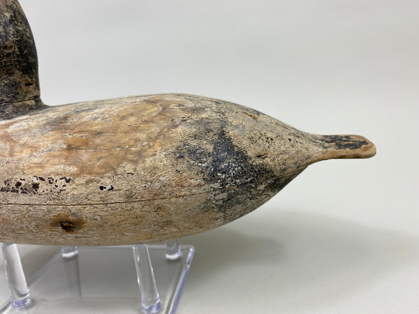 Bert Stranz Bluebill Drake (#9325)