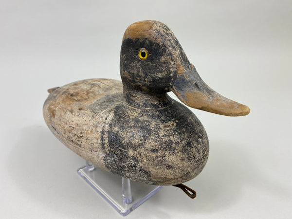 Bert Stranz Bluebill Drake (#9325)