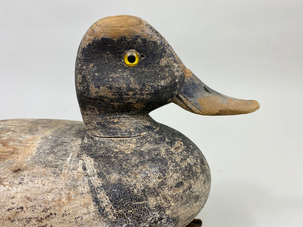 Bert Stranz Bluebill Drake (#9325)