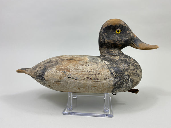 Bert Stranz Bluebill Drake (#9325)