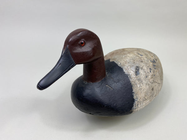 St. Clair Flats Canvasback Drake (#9334)