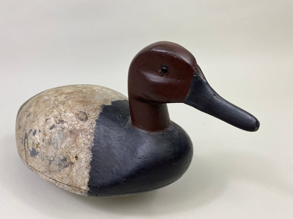 St. Clair Flats Canvasback Drake (#9334)