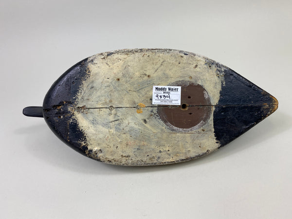 St. Clair Flats Canvasback Drake (#9334)