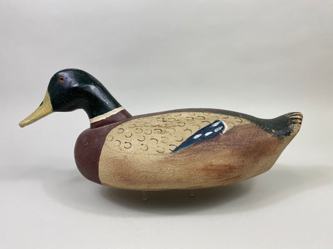 Miles Smith Mallard Drake (#9336)