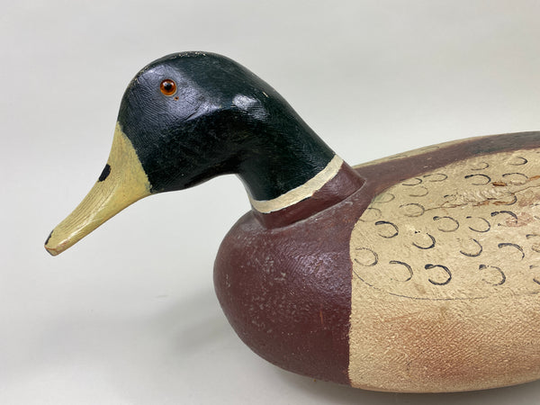Miles Smith Mallard Drake (#9336)