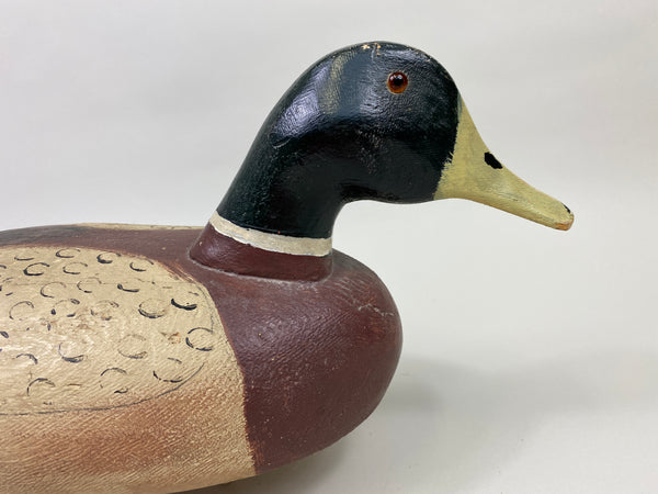 Miles Smith Mallard Drake (#9336)