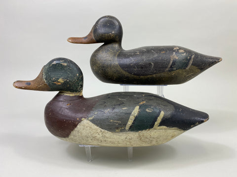 Doug Wise Mallards Pair (#9362)