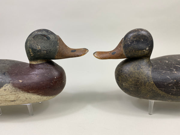 Doug Wise Mallards Pair (#9362)