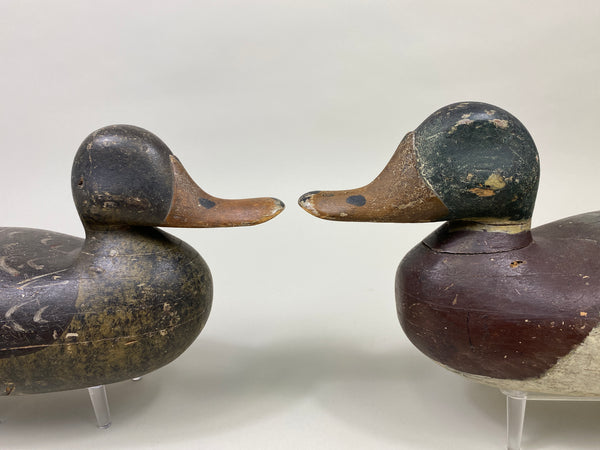 Doug Wise Mallards Pair (#9362)