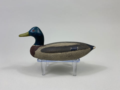 Artie Bennett Mini Mallard Drake (#9367)