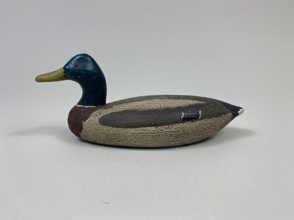 Artie Bennett Mini Mallard Drake (#9367)