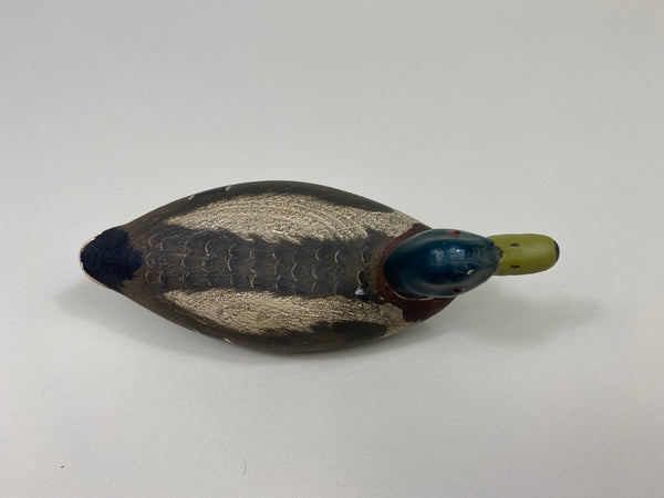 Artie Bennett Mini Mallard Drake (#9367)