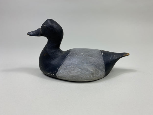 Ohio Half Size Unkown Bluebill Drake (#9371D)