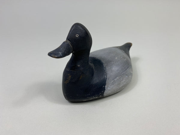 Ohio Half Size Unkown Bluebill Drake (#9371D)