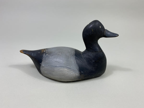 Ohio Half Size Unkown Bluebill Drake (#9371D)