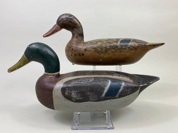 Unknown Pair of Illinois River Mallards (#9387)