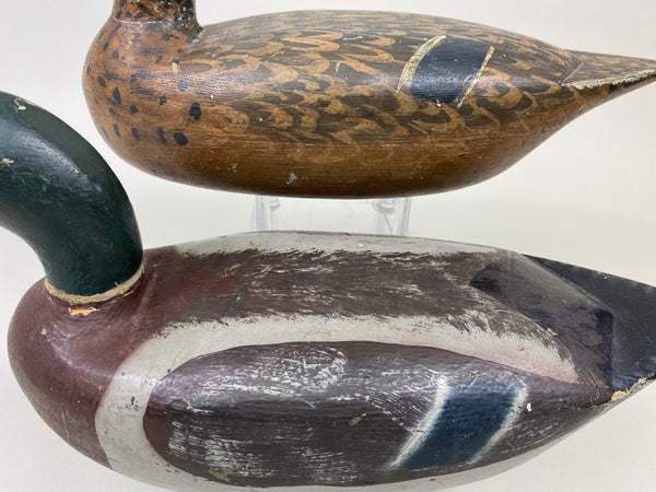 Unknown Pair of Illinois River Mallards (#9387)