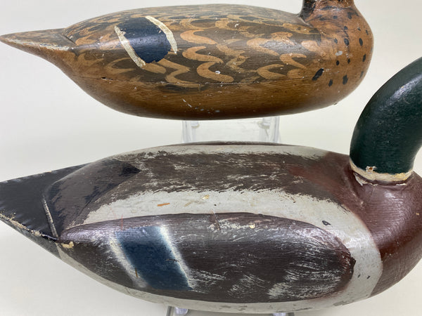 Unknown Pair of Illinois River Mallards (#9387)