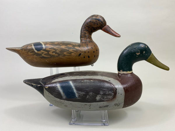 Unknown Pair of Illinois River Mallards (#9387)