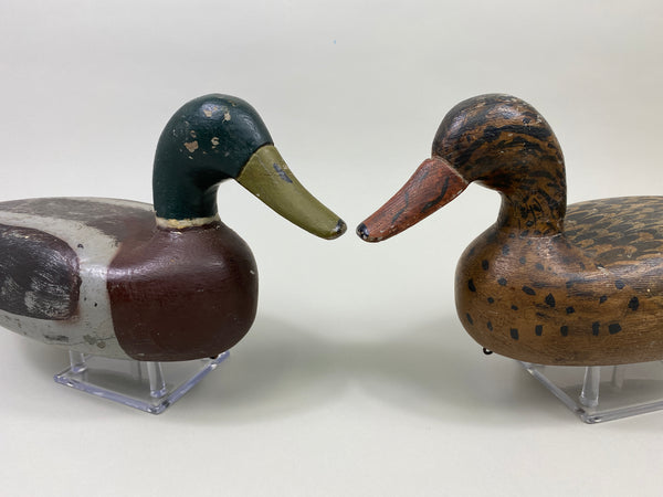 Unknown Pair of Illinois River Mallards (#9387)