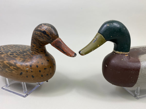 Unknown Pair of Illinois River Mallards (#9387)