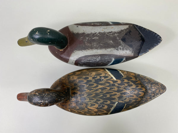 Unknown Pair of Illinois River Mallards (#9387)