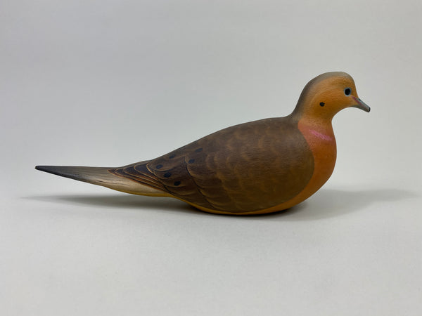 Ben Heinemann Mourning Dove (#9414)