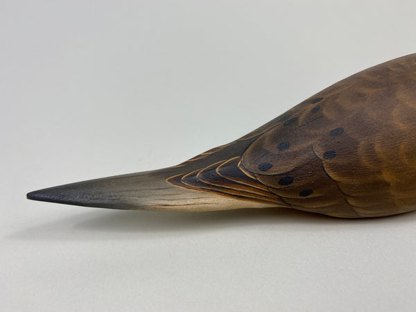 Ben Heinemann Mourning Dove (#9414)