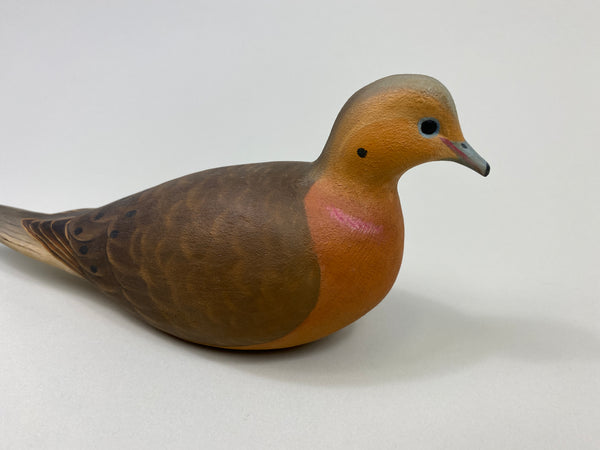 Ben Heinemann Mourning Dove (#9414)