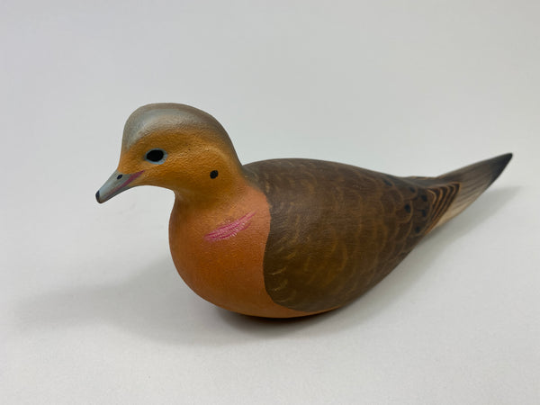 Ben Heinemann Mourning Dove (#9414)