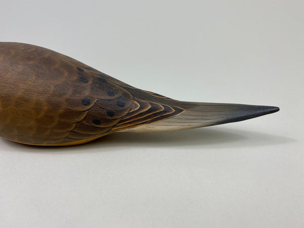 Ben Heinemann Mourning Dove (#9414)