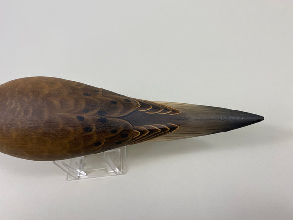 Ben Heinemann Mourning Dove (#9414)