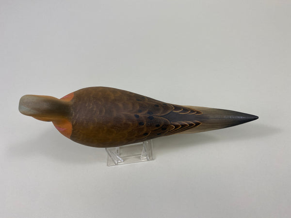 Ben Heinemann Mourning Dove (#9414)