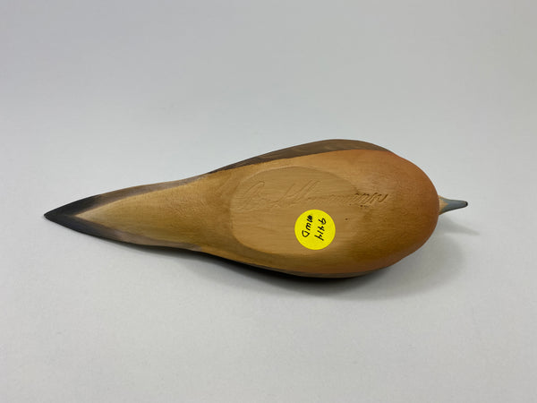 Ben Heinemann Mourning Dove (#9414)