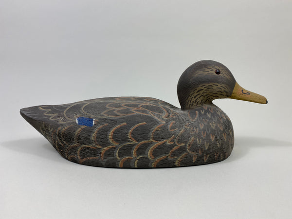 Herters 1893 Series Black Duck (#9437)