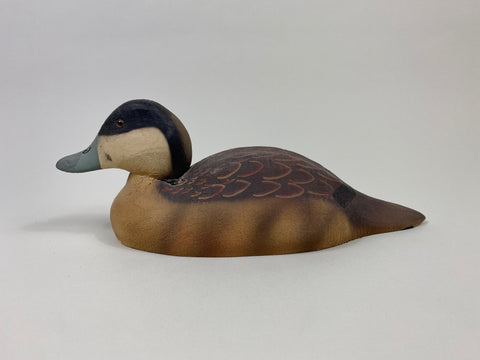 Herter's 1893 Series Ruddy Duck (#9438)