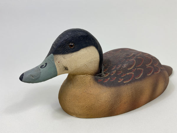 Herter's 1893 Series Ruddy Duck (#9438)