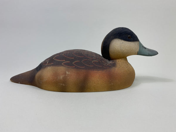 Herter's 1893 Series Ruddy Duck (#9438)