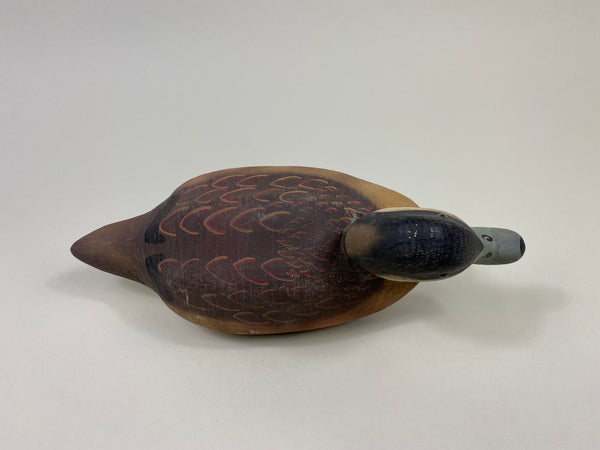 Herter's 1893 Series Ruddy Duck (#9438)