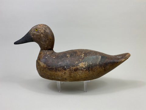 Evans Blue-Wing Teal Drake (#9447)
