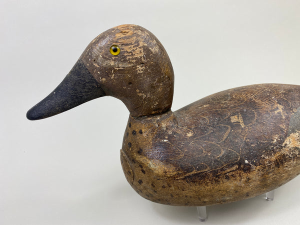 Evans Blue-Wing Teal Drake (#9447)