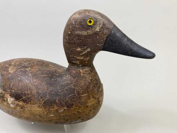 Evans Blue-Wing Teal Drake (#9447)