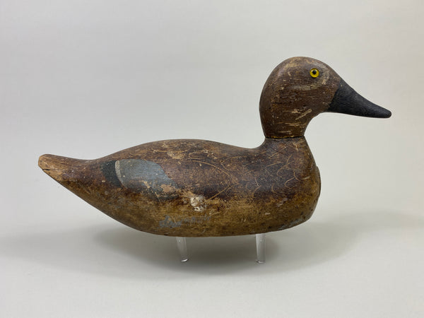 Evans Blue-Wing Teal Drake (#9447)