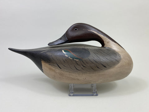 Jim Slack Sleeping Pintail (#9459)
