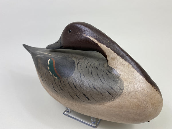 Jim Slack Sleeping Pintail (#9459)