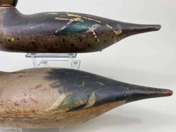 Mason Standard Grade Pair of Pintails (#9468)