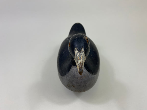 Mason Challenge Grade Coot (#9469)