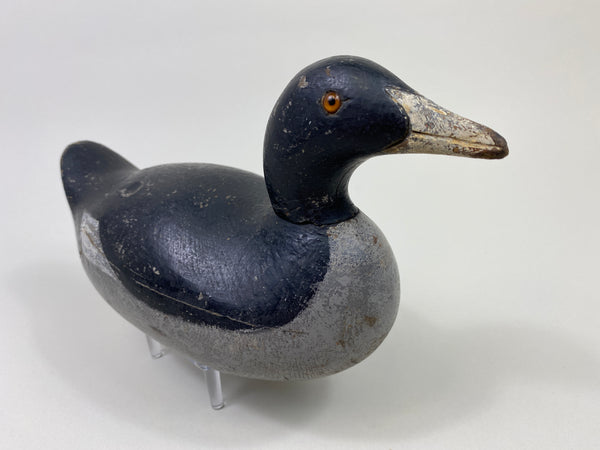 Mason Challenge Grade Coot (#9469)