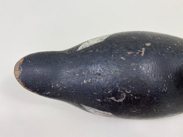 Mason Challenge Grade Coot (#9469)